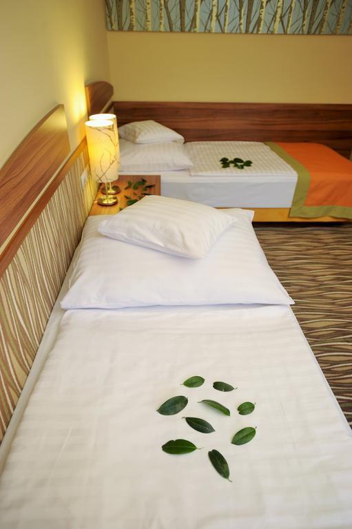 Park Hotel Gyula Værelse billede